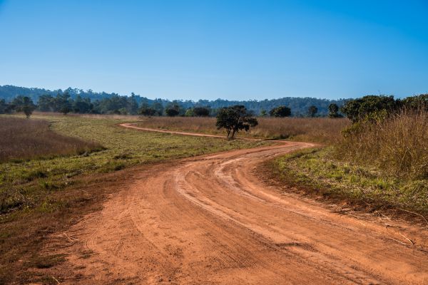 Dirt Driveway Repair in Santa Cruz