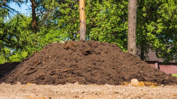 Dirt Installation in Santa Cruz
