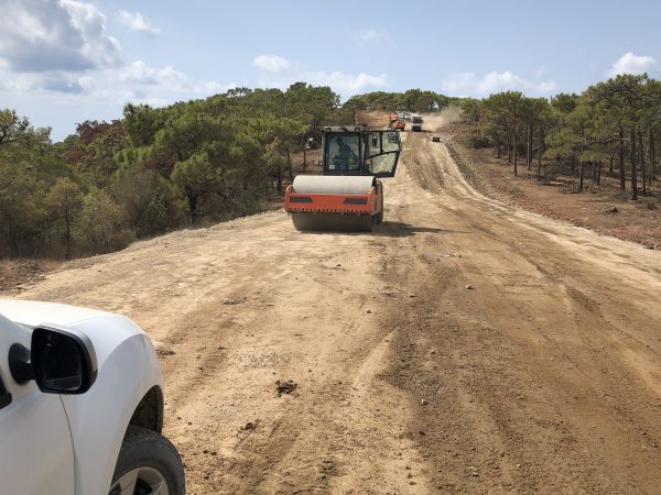Cost of Driveway Grading in Santa Cruz