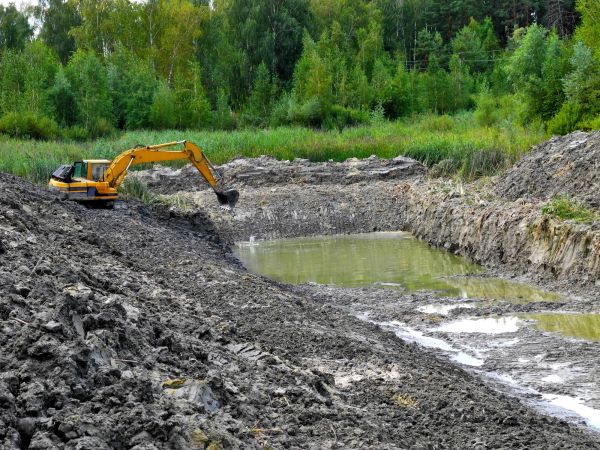 Cost of Fish Pond Digging in Santa Cruz