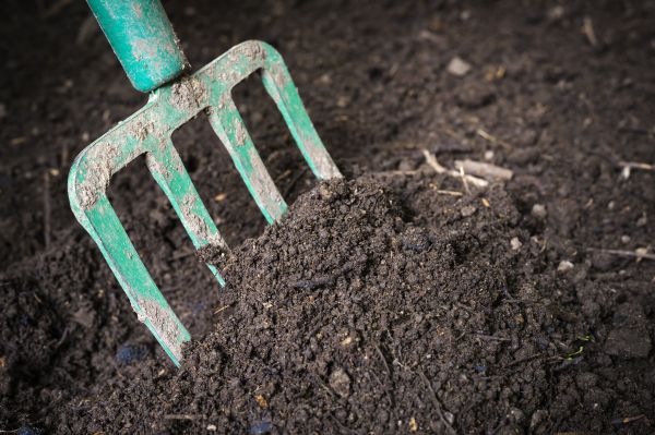 Cost of Topsoil Spreading in Santa Cruz