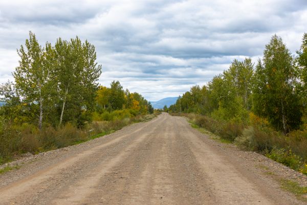 Dirt Road Repair in Santa Cruz