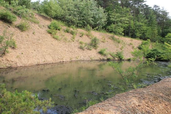 Pond Erosion Repair in Santa Cruz