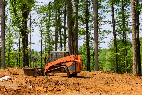 Cost of Lot Leveling in Santa Cruz