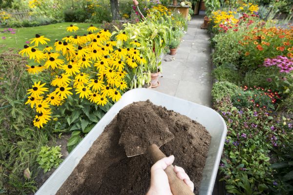Cost of Soil Spreading in Santa Cruz